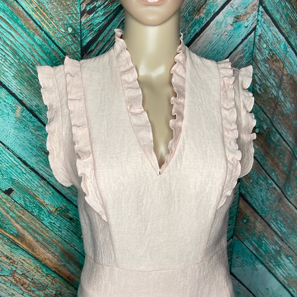 Sandro Paris Flirty Rose Pink Ruffle Trimmed Side Zip Mini Cocktail Dress - Picture 3 of 8